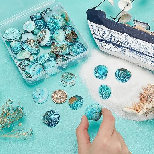 Miniatura 3 de PandaHall Elite lote de 130-150 cuentas de caracolas en espiral y dijes con orificios para artesanías 34-1316 pulgadas de largo