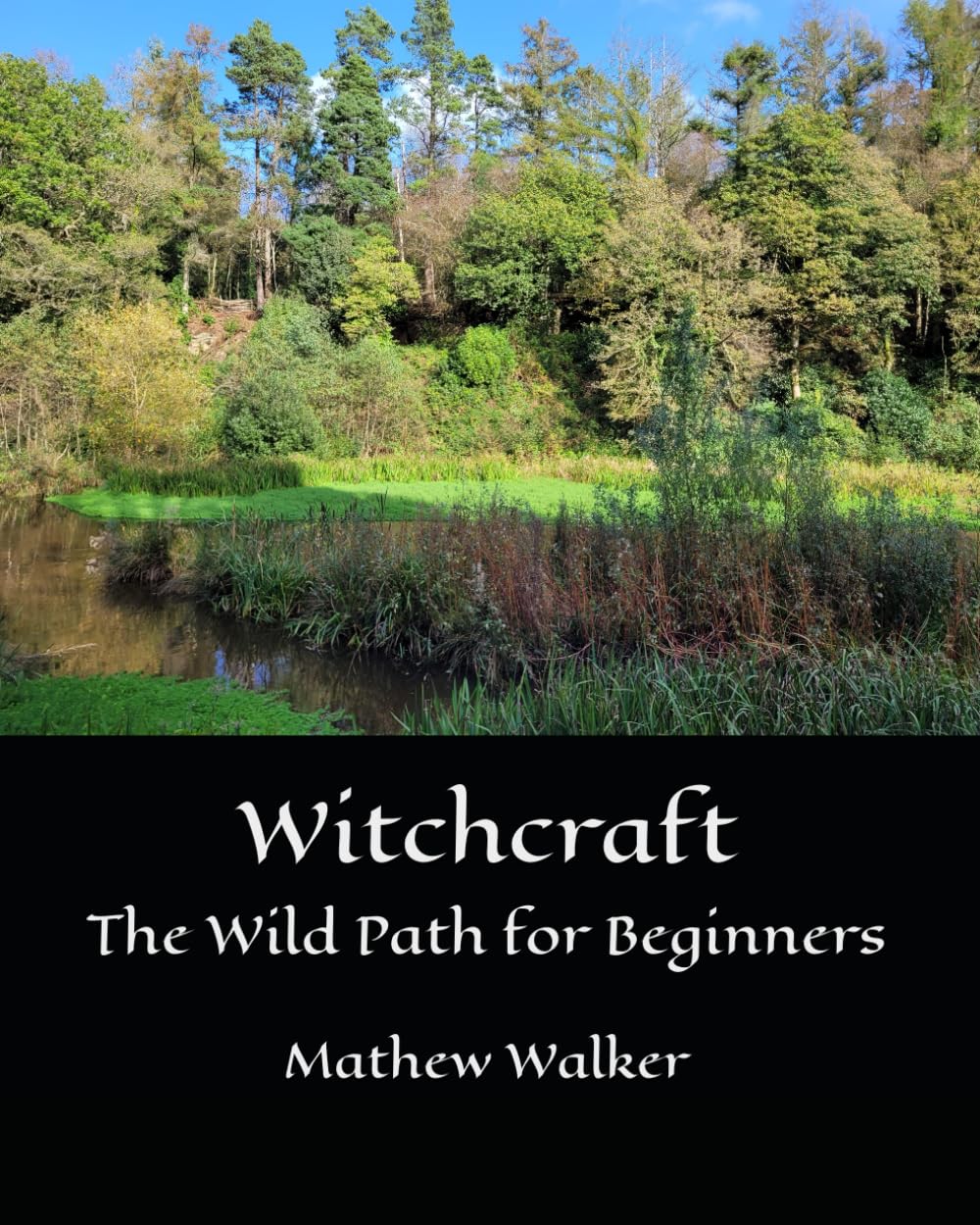 Witchcraft The Wild Path for Beginners