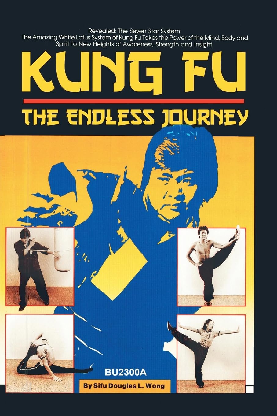 Kung-Fu: the Endless Journey