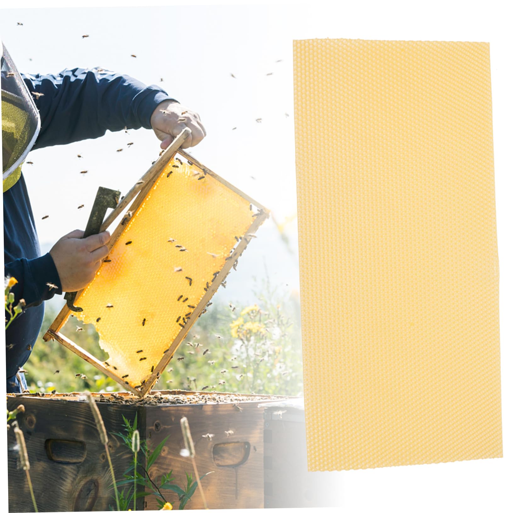 Stück Wabenfundament Gelb aus 30 für Bienenwachs Imkerei