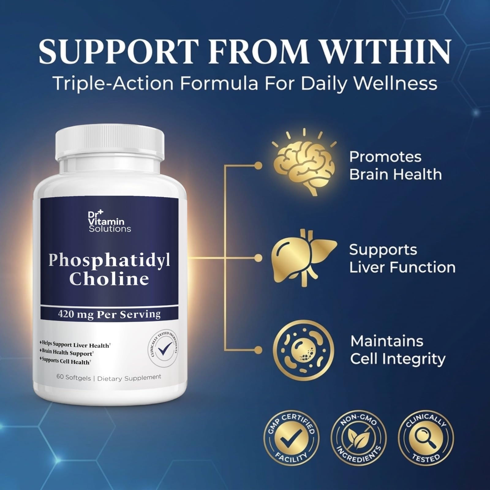 Phosphatidylcholine Choline Supplement 420mg - Liver, Brain & Cell Health — Amazon image 3