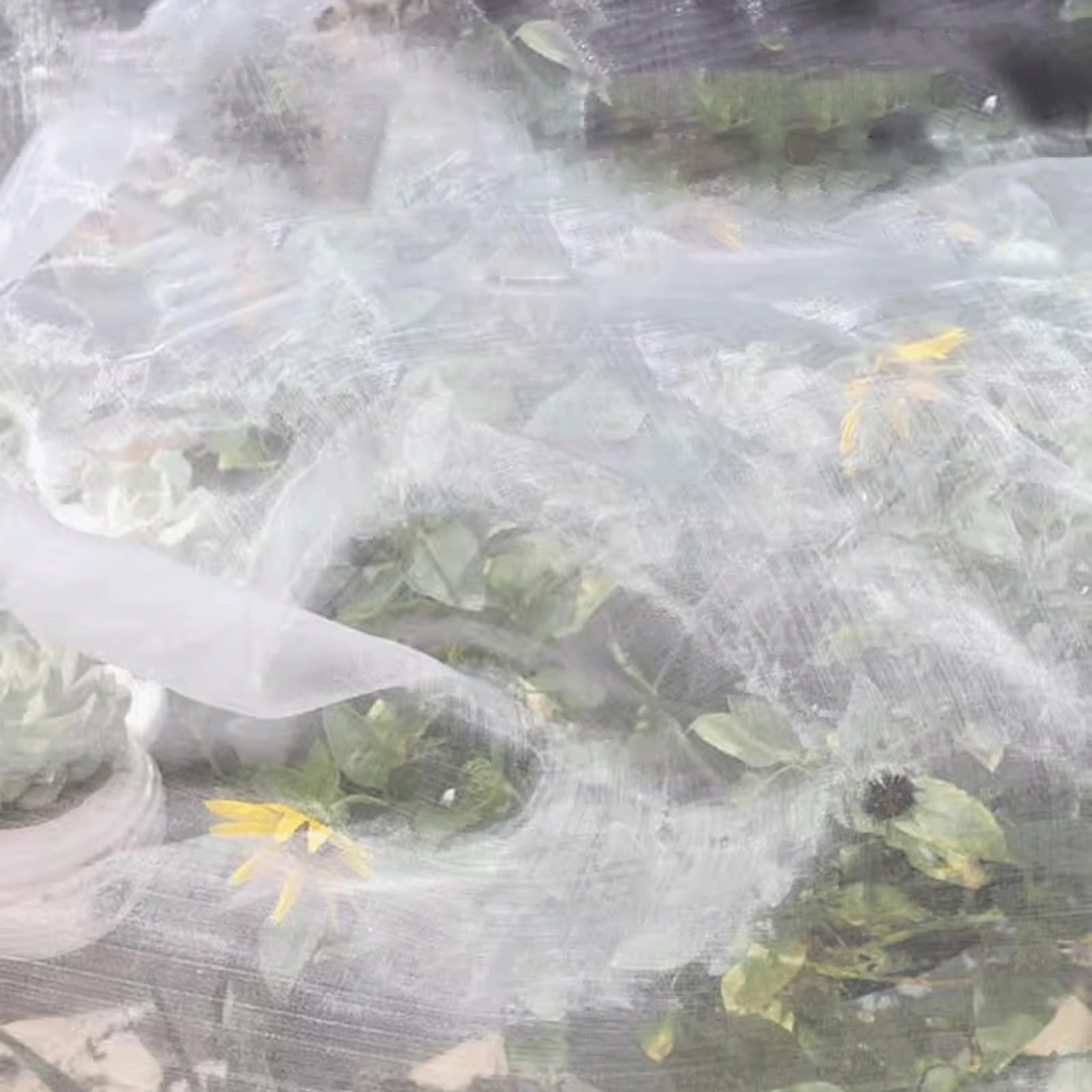 Rete Anti Insetti per Piantea Maglia Fine, Rete Giardino, Rete Antigrandine per Orto, Rete Anti Insetti per Verdure, per l'utilizzo in Orti, Frutteti, Serre(3x15m)