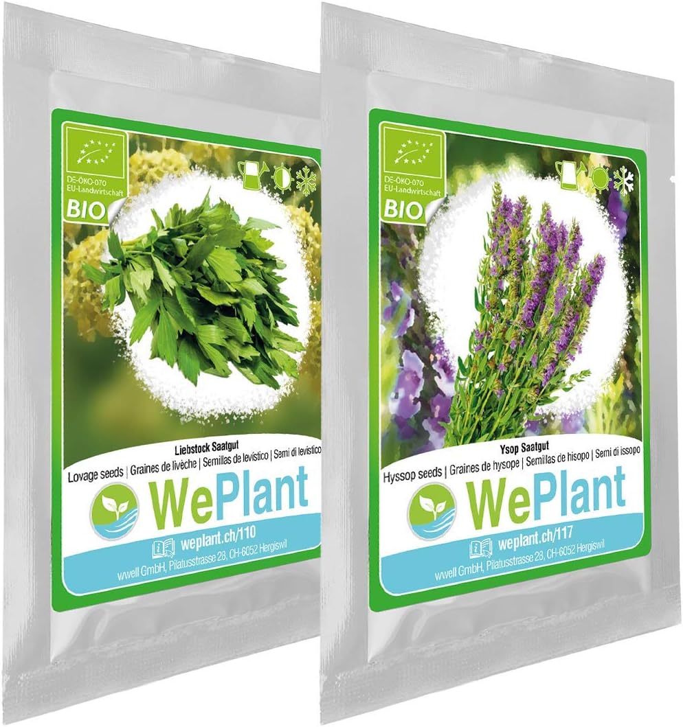 Semi di sedano da giardino