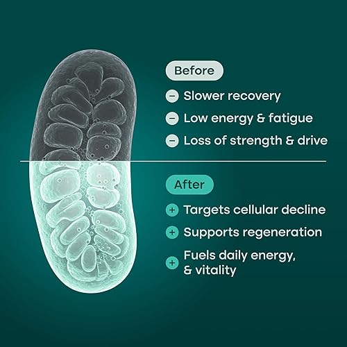 Miniatura 5 de Etta Vita Suplemento liposomal NAD+ con resveratrol, urolitina A, CoQ10 y Giloy (hecho y probado en Estados Unidos) Suplemento NAD para energía