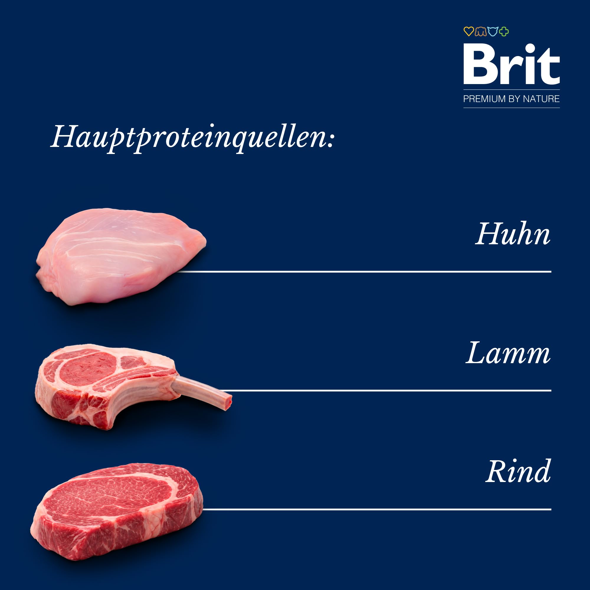 Brit Premium by Nature zestaw mokrej karmy dla dorosłych psów, 3 x filety w sosie, kurczaku, wołowinie i jagnięcinie, pełna karma, 12 x 85 g