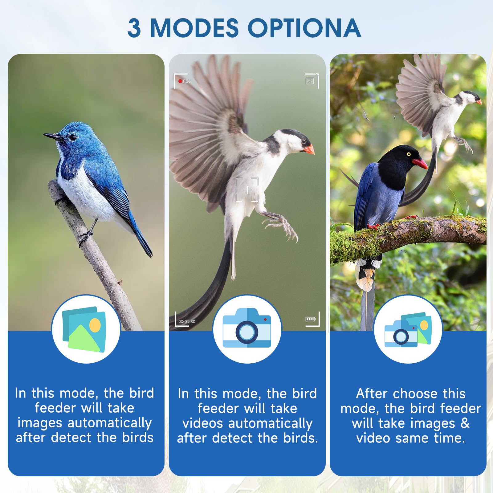 Mangeoire Oiseaux Camera, HD 1080P Intelligente Camera Nichoir avec Caméra et 5W Panneau Solaire, Nichoir Oiseaux Exterieur Caméra IP65 Etanche, Capture Automatique des Images, 32G Carte