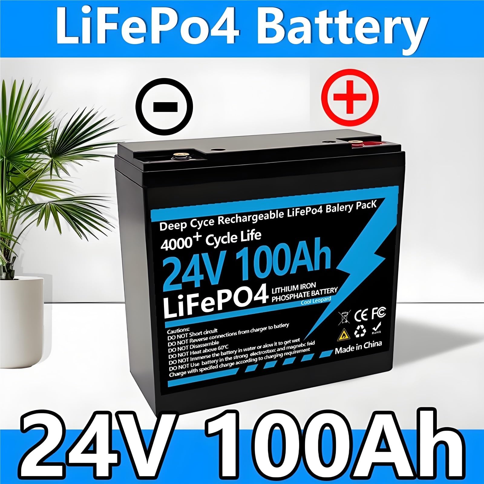 Batteria LiFePO4 24V 100Ah Pacco Litio Per Camper Sistema Solare Campeggio Accumulo Energia Progetti Fai Da Te 6000 Cicli Celle Grade A Con BMS 100A Integrato Scocca ABS 2400Wh