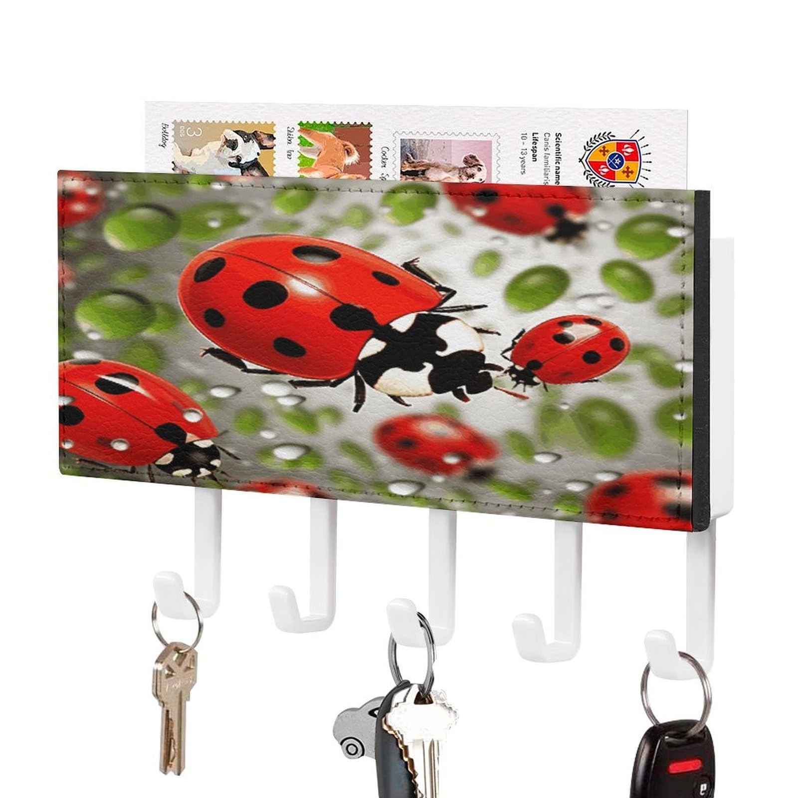 FekiLoot Ladybug Key Holder for Wall Decorative Mail Organizer with 5 Key Hook Self Adhesive Key Rack with Tray Coat Rack Wall Mount Key Hanger Decor for Entryway Door
