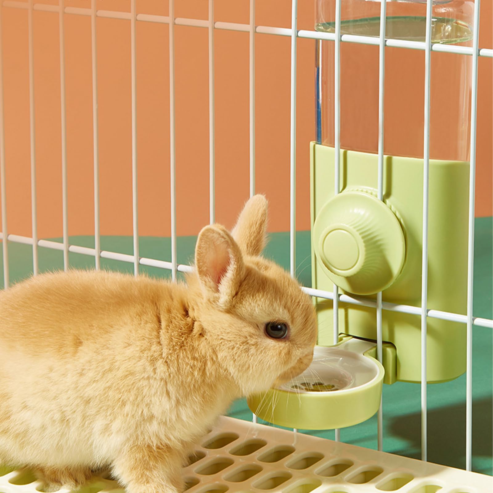 Distributeur d'eau automatique pour lapin, 600 ml, à suspendre, pour lapin, chinchilla, hérisson, écureuil, furet, vert