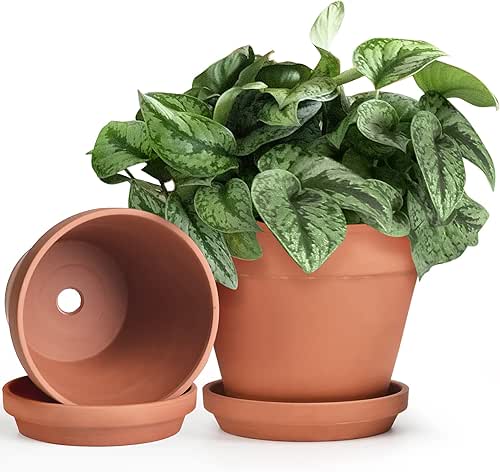 INGOFIN Terracotta Pots Set with Saucer - 2-Pack Ceramic Clay
