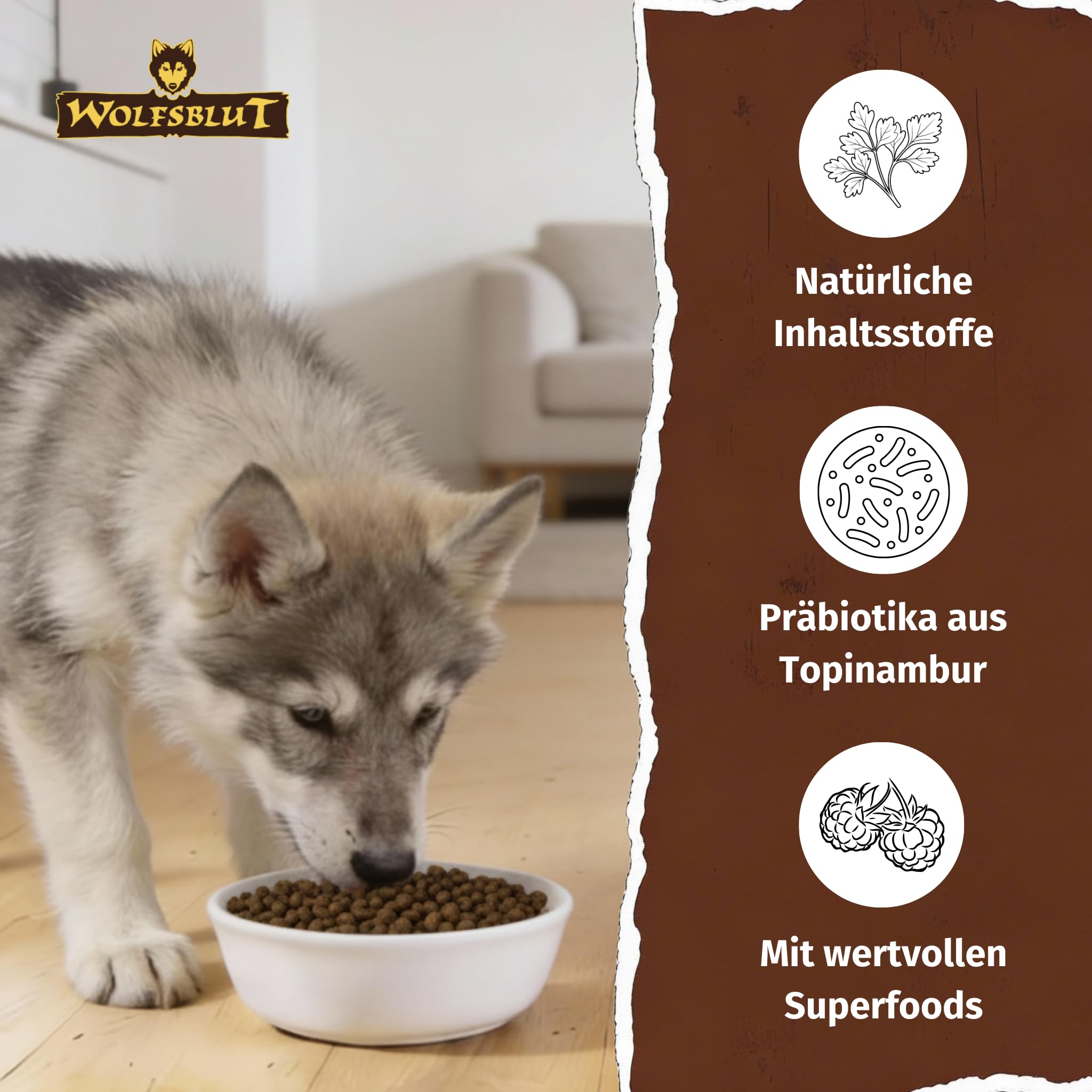 WOLFSBLUT – Wide Plain Puppy | Trockenfutter mit natürlichen Zutaten und wertvollen Superfoods für heranwachsende Hunde. Getreidefreies Alleinfutter ohne Zusatzstoffe im Beutel | 12,5kg Pferd