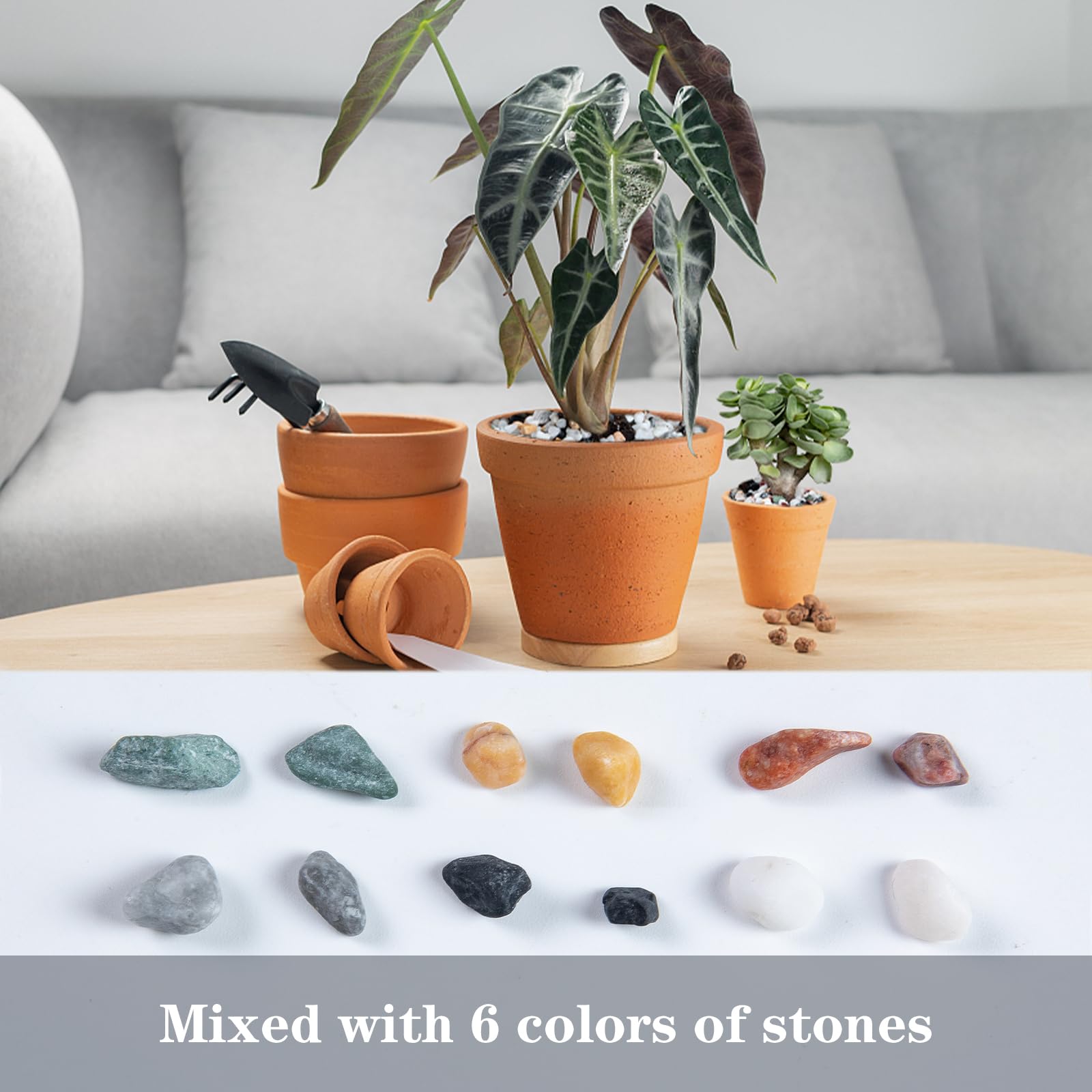 Ausluru 5lb Pea Silica Gravel Decorative Rocks, No Wax Pebbles Ideal for Fish Tank, Vases, Succulents, Home Decor and Garden Landscaping, Countryside Silica Gravel