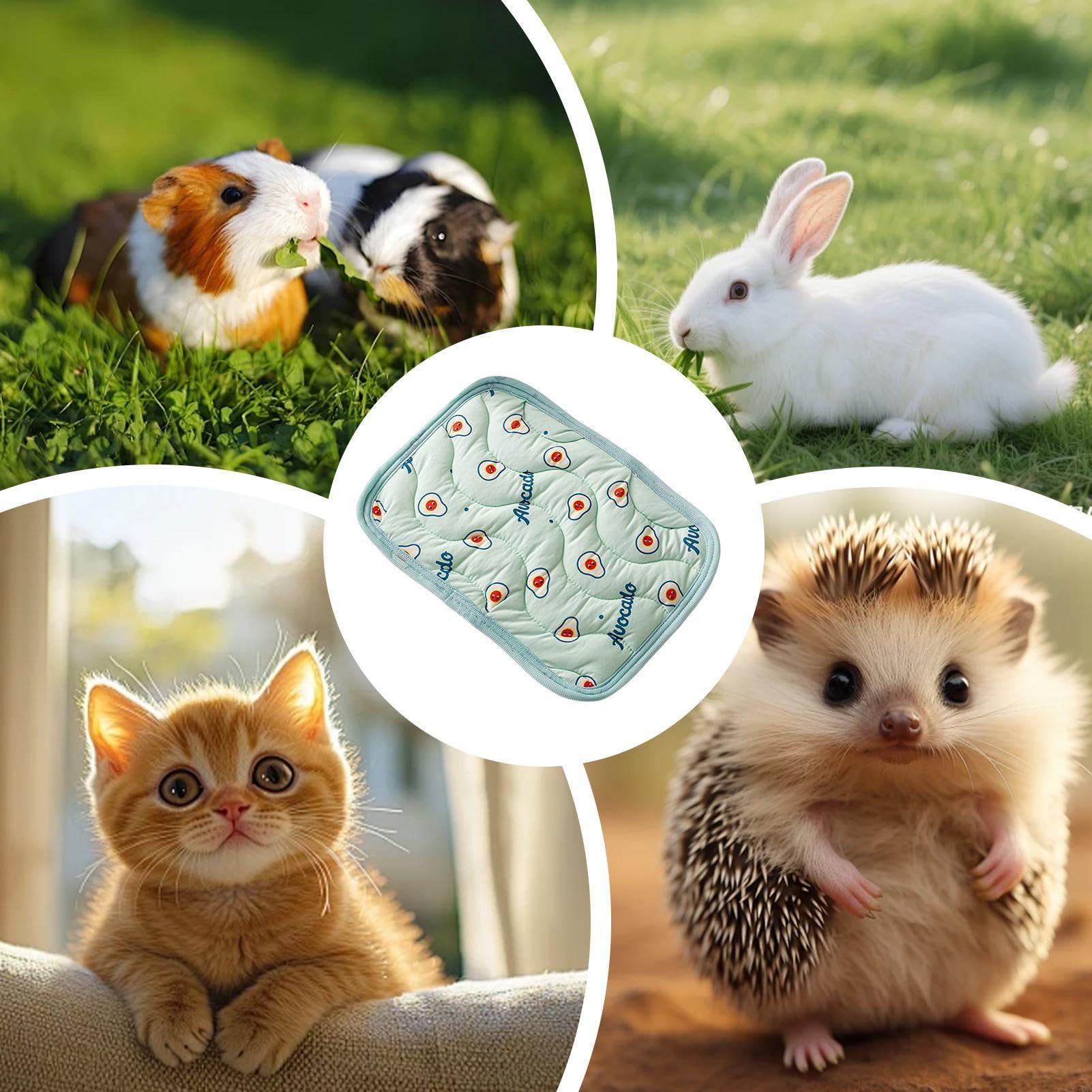 Tappetino di raffreddamento per animali domestici, traspirante, lavabile | Tappetino fresco per cani, gatti, coniglietti, auto, casa, viaggi, campeggio all'aperto