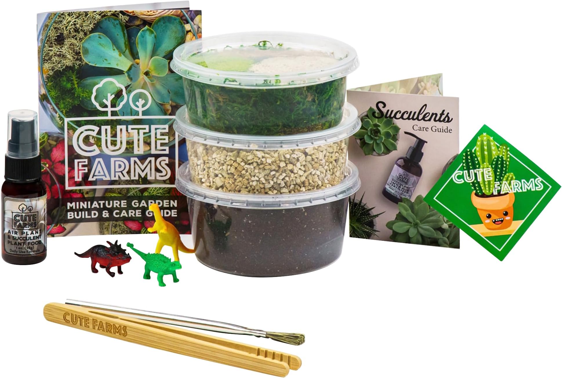 Small Terrarium Kit