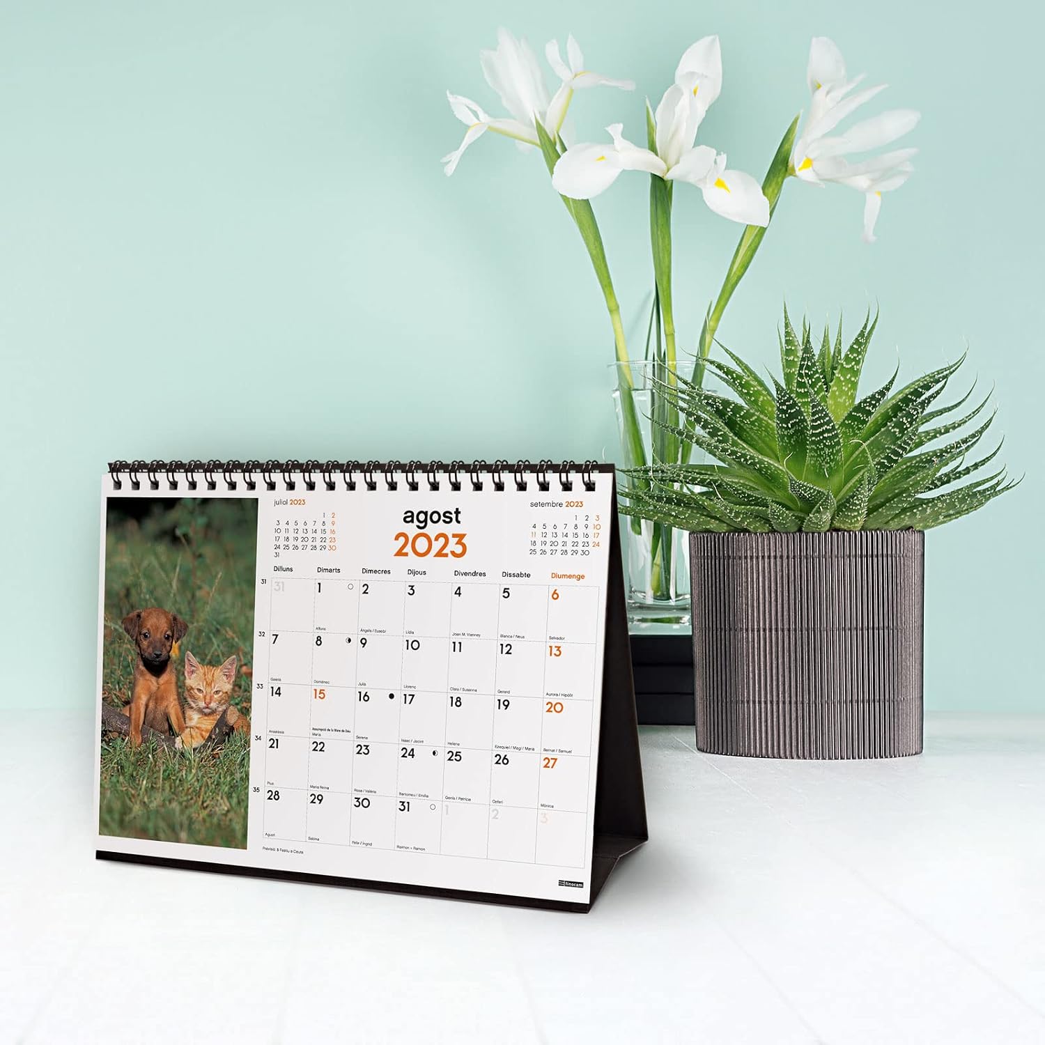 Finocam - Calendar 2023 Desktop Images to Write January 2023 - December 2023 (12 months) Catalan Dogs and Cats - Image 3