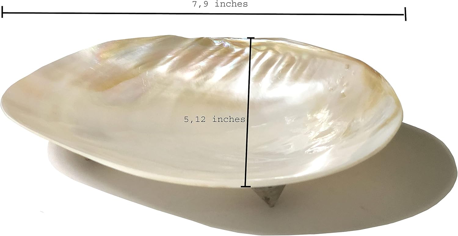 Handmade mother of pearl dish from Vietnam- excellent gift idea. Candy, chocolates, Jewelry, key holder. : Clothing, Shoes & Jewelry