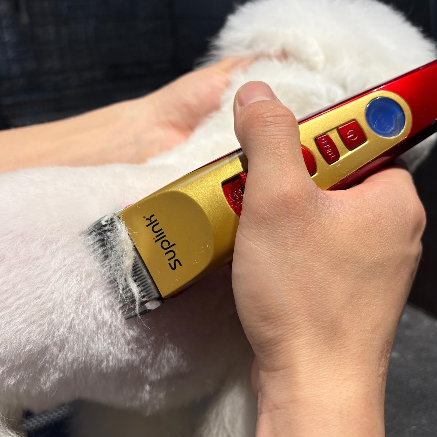suplink Tondeuse pour chien pour toilettage pour manteaux épais et lourds, rasoir sans fil rechargeable à 2 vitesses, faible bruit, avec 4 lames en acier inoxydable pour chiens, animaux domestiques et