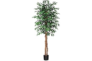 6 Feet Artificial Ficus Tree: Lifelike Ambiance for Home and Office Decor
