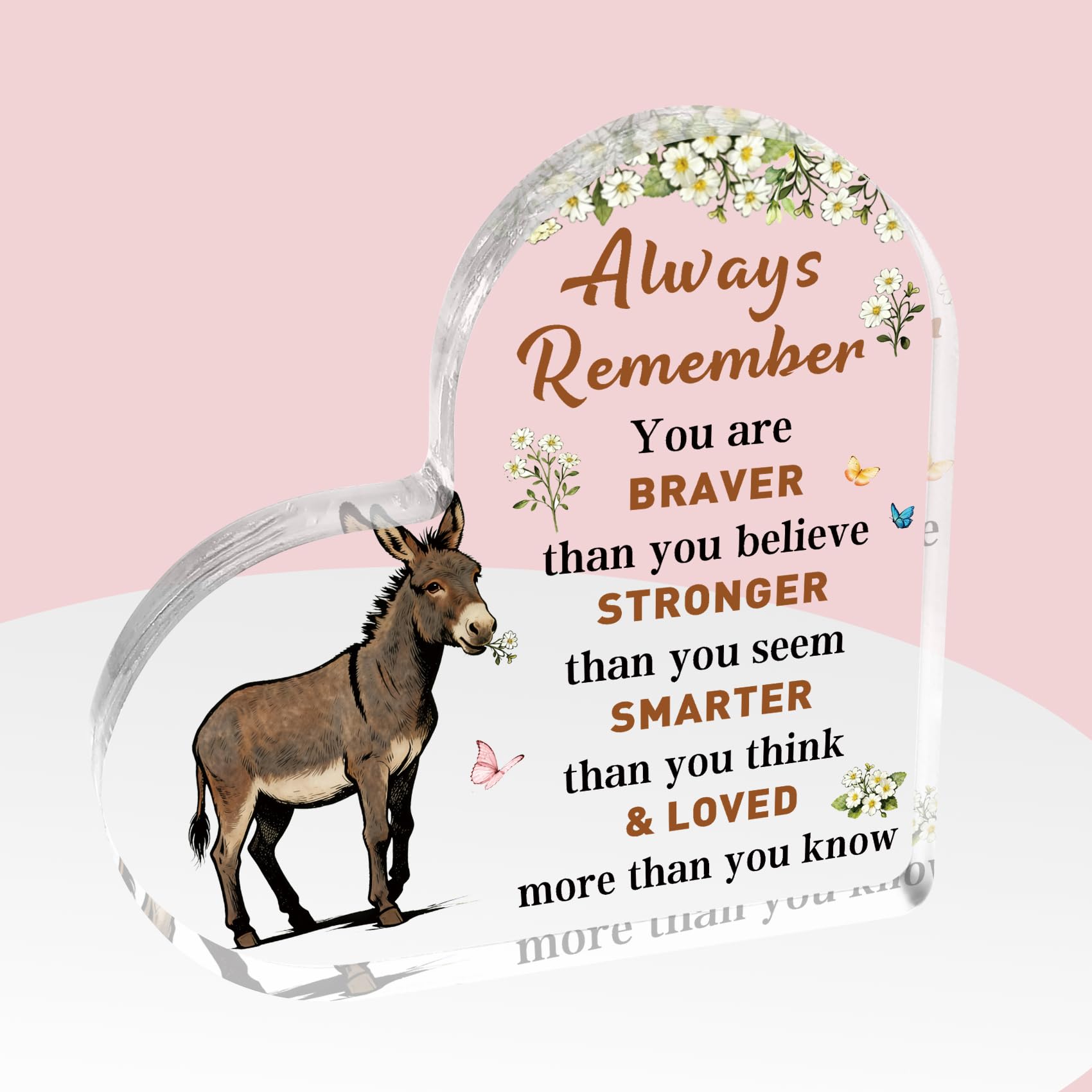 Donkey Gifts For Girls Donkey Lover Gifts Acrylic Plaque Inspirational Gift For Women Motivational Gift For Women Friend Colleagues Sisters Christmas Birthday Valentines Presents