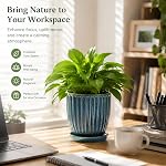 6 Inch Ceramic Plant Pots with Drain Hole & Saucer, Ceramic Pots for Indoor Plants - Succulent, Snake Plant, Money Tree, Aloe Vera, Basil Planter(Glaze Blue)