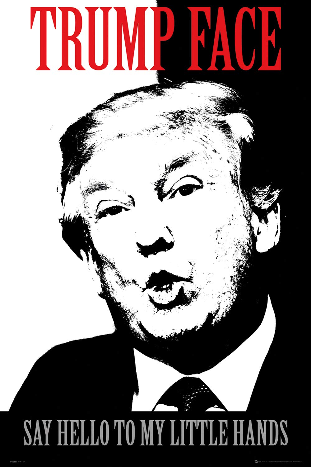 GB Eye LTD, Trump, Face, Maxi Poster