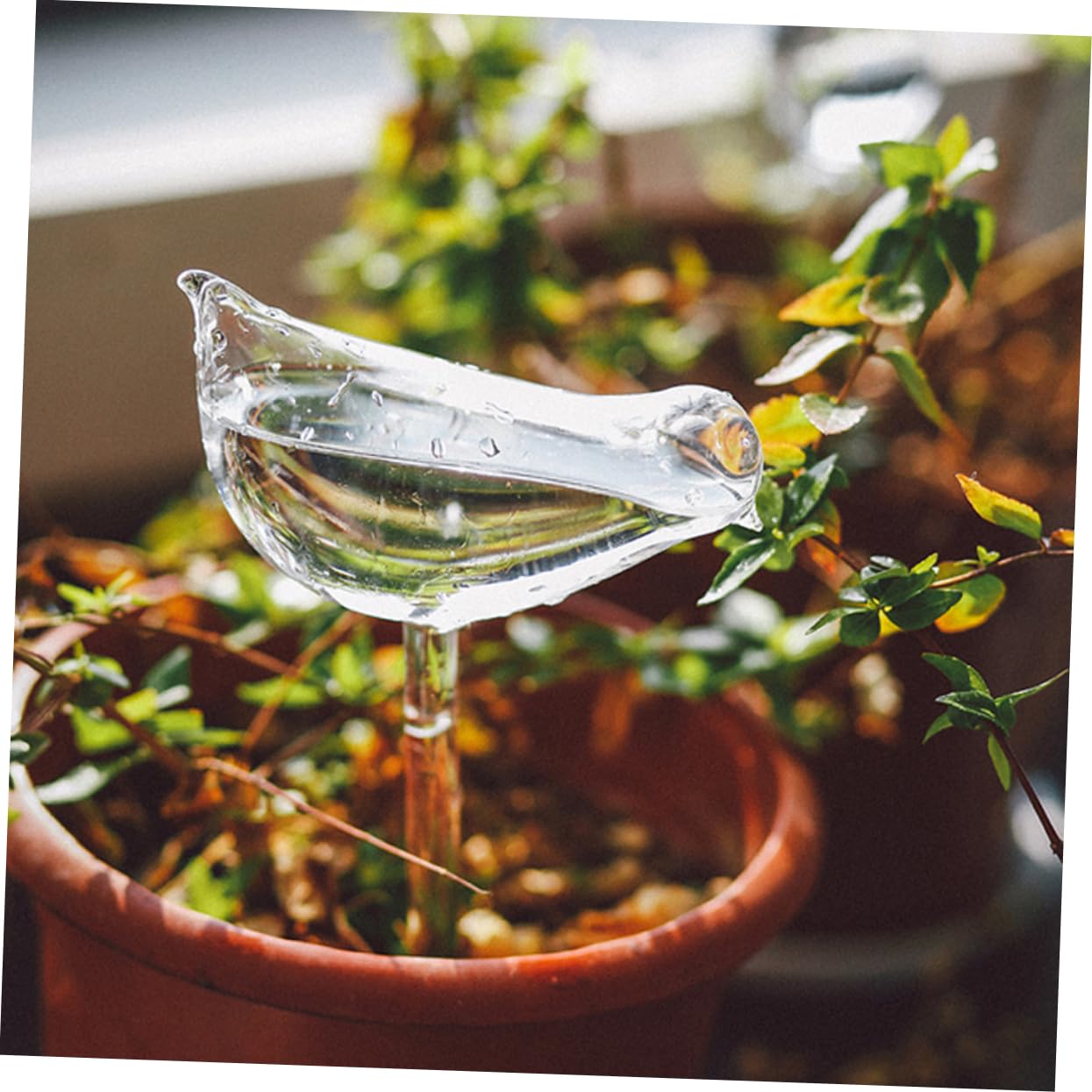 Hemobllo Irrigatore per Piante 4 Pezzi in Vetro Borosilicato Autoirrigante | Trasparente, Uso Semplice per Viaggi e Festival, Confezione Schiuma e Scatola di Carta