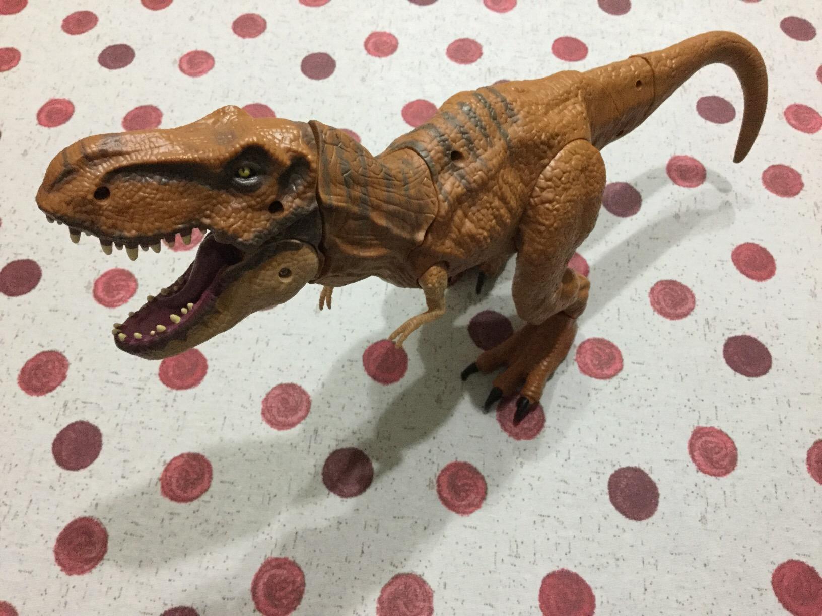 Immagine del cliente