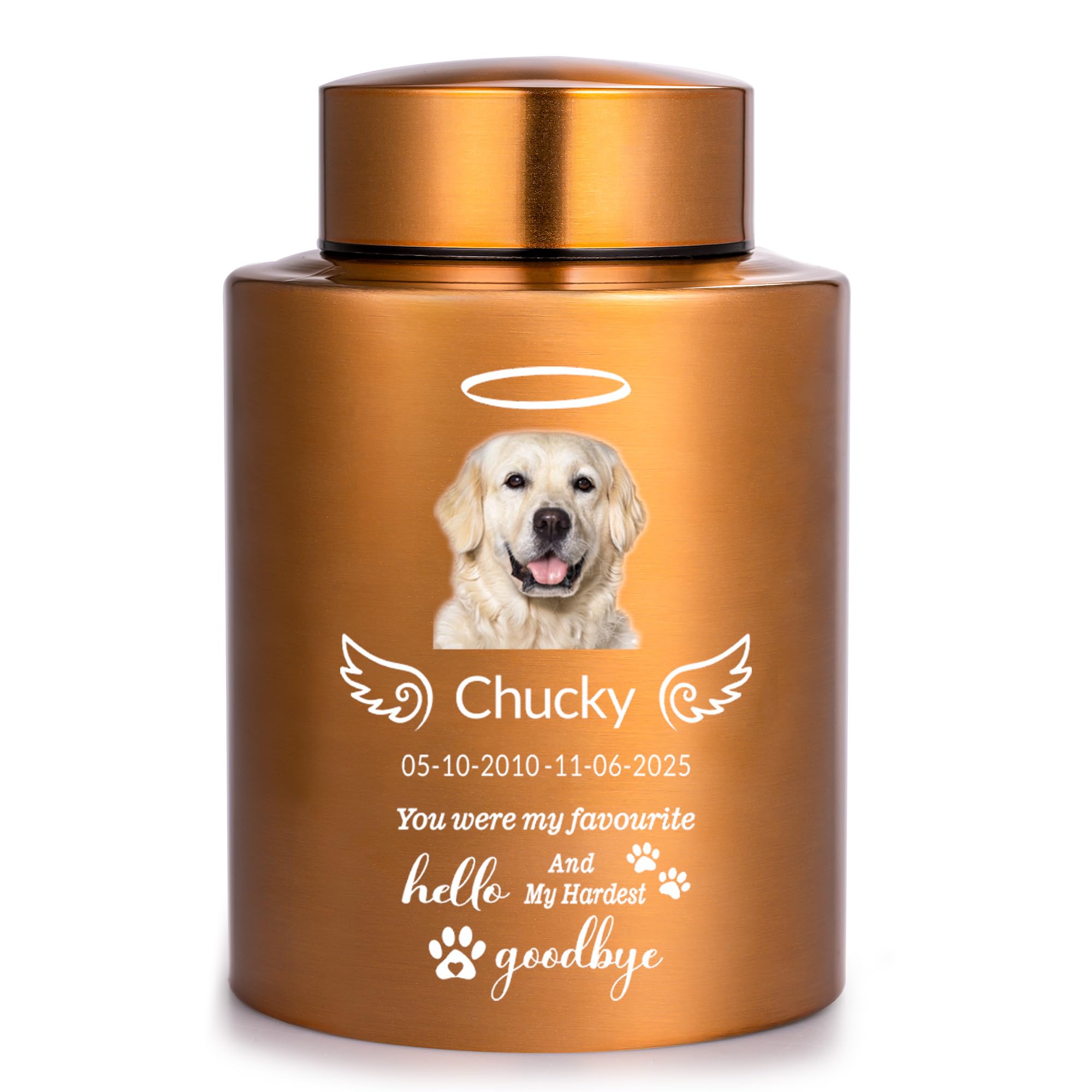 Personalized Pet Memorial Urn for Dog or Cat Ashes - "My Favourite Hello & Hardest Goodbye" Sympathy Gift with Photo, Keepsake for Pet Lovers