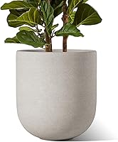 LETAUCI 12 Inch Ceramic Planter for Indoor Plants - Neutral Gray Large Pot with Drainage Hole & Plug, Modern Textured Matte Finish