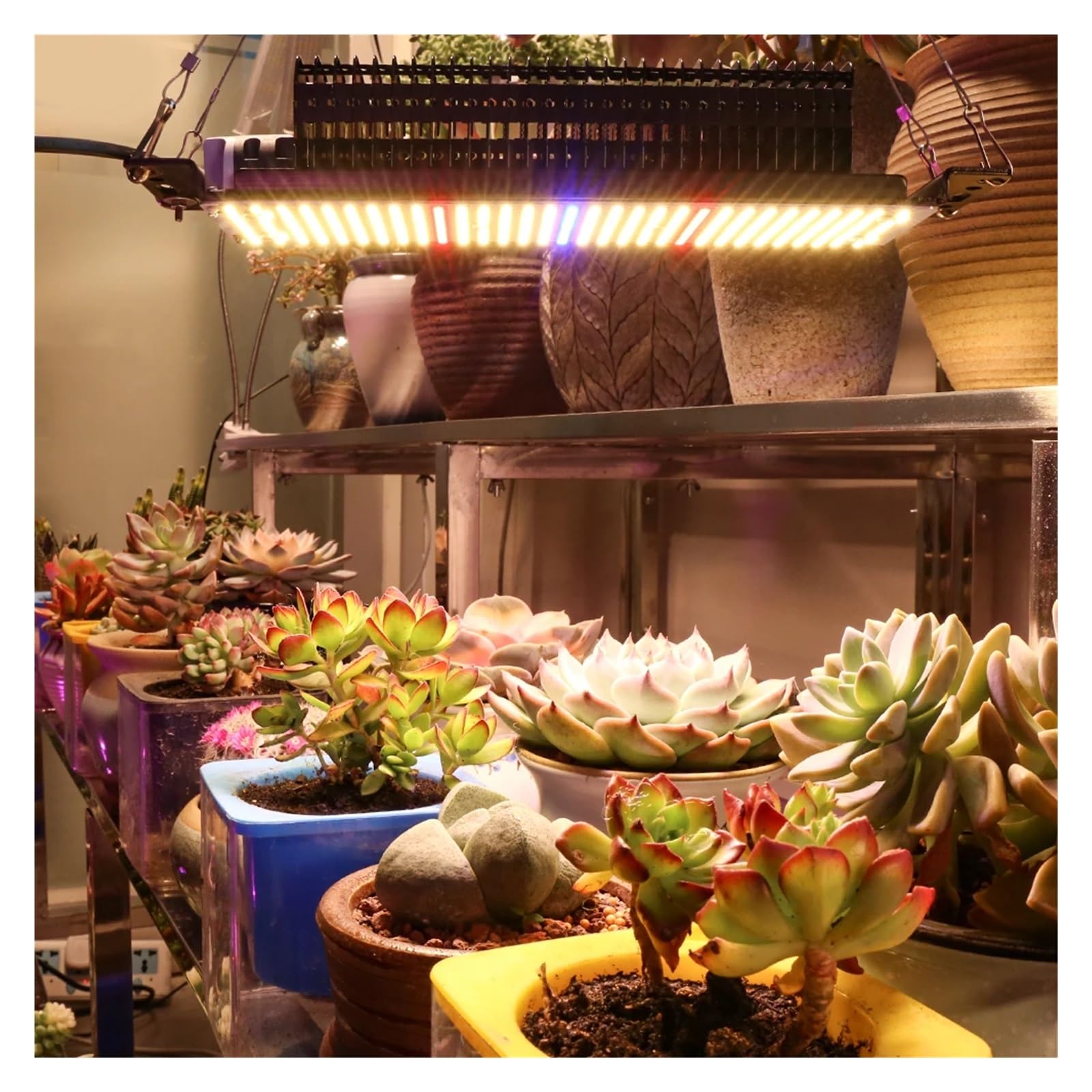 Lampada da coltivazione a LED 300 W a spettro completo 465 for piante for interni Fiori Vegs Piantine Serra Illuminatore orticolo