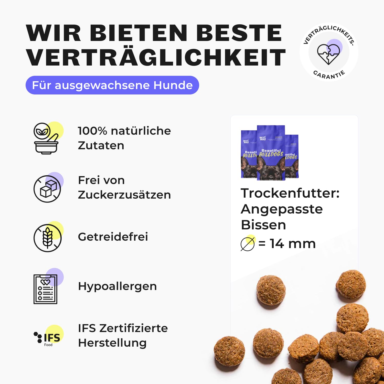 HEY HOLY Set 7 kg Premium Trockenfutter, 6 x 375 g Nassfutter & 1 x 200 g Snacks für Bulldoggen | 100% hypoallergen & getreidefrei | Hundefutter & Leckerlis für ausgewachsene Bulldoggen mit Lachs