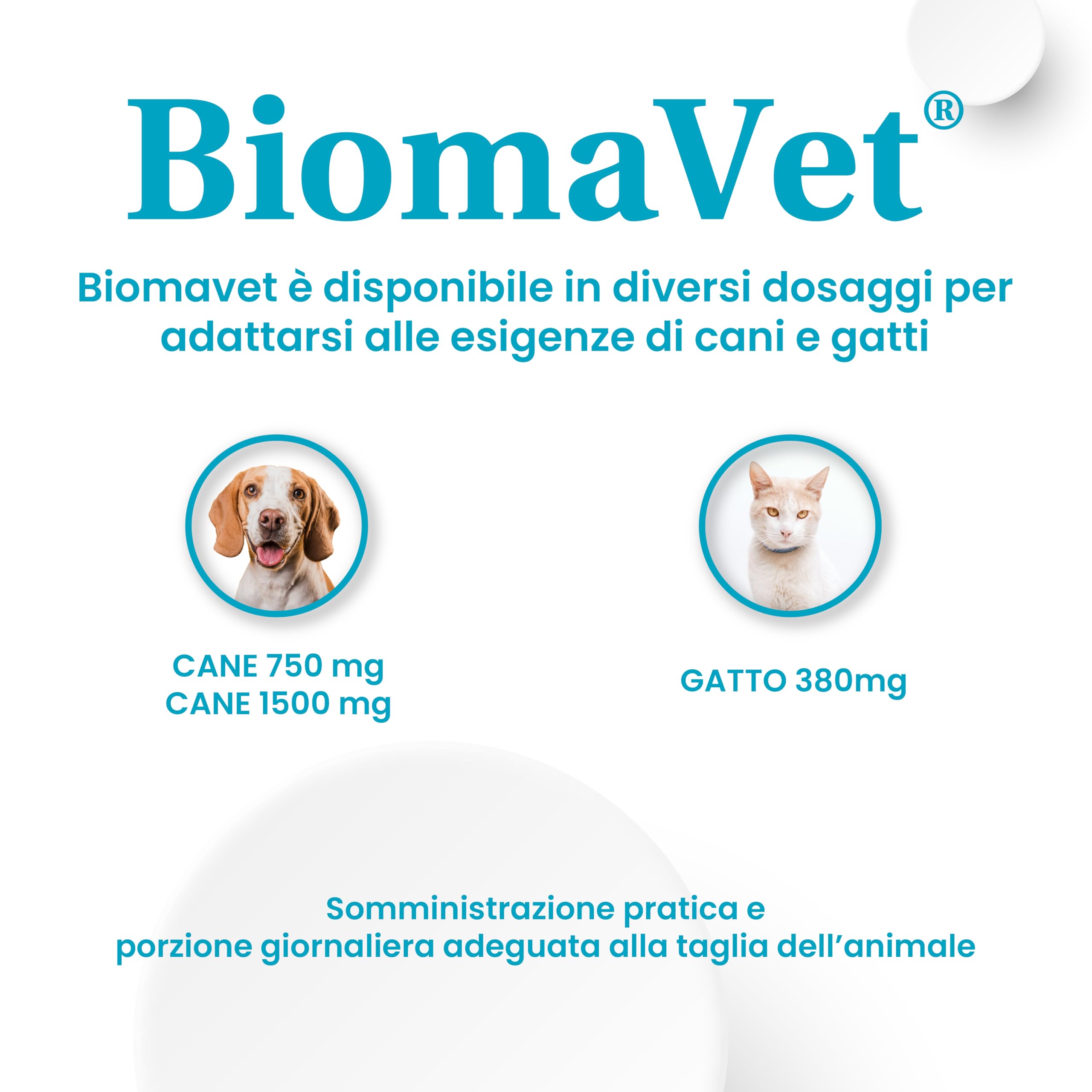 BiomaVet Probiotici Gatto per il Benessere Intestinale - Probiotici per Gatti con Formulazione Multiceppo, Lattoferrina e Vitamina B12-12 Compresse da 380mg