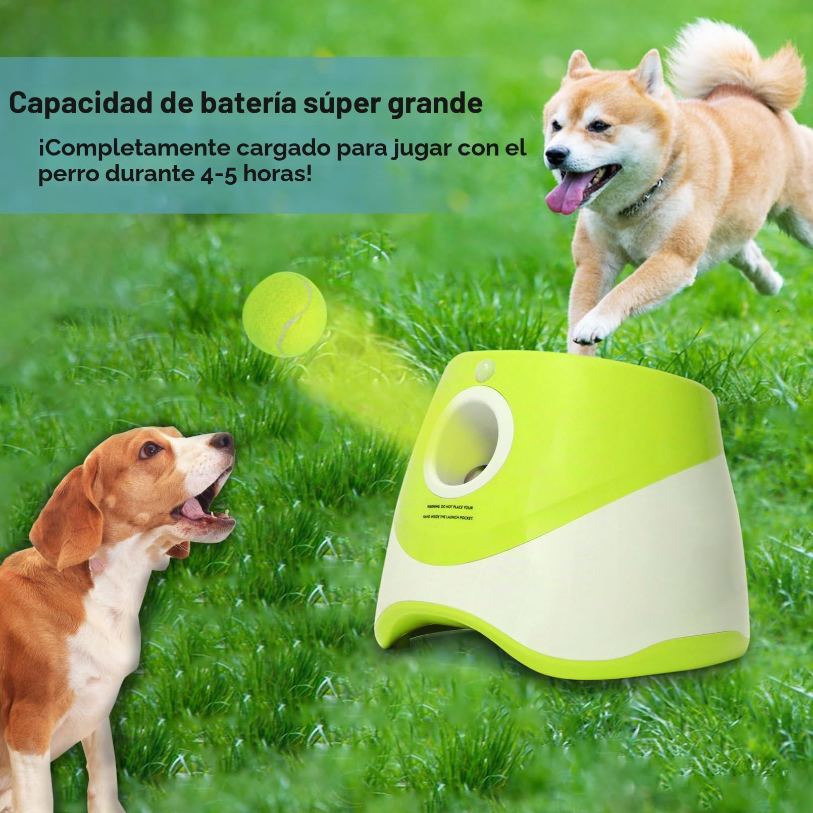 Jovani - Lanzador automático de Pelotas para Perros, Distancia de 10 a 30 pies, Juguete Interactivo para Perros pequeños para Interiores y Exteriores, Incluye 9 Pelotas de Tenis (2 Pulgadas), mantén