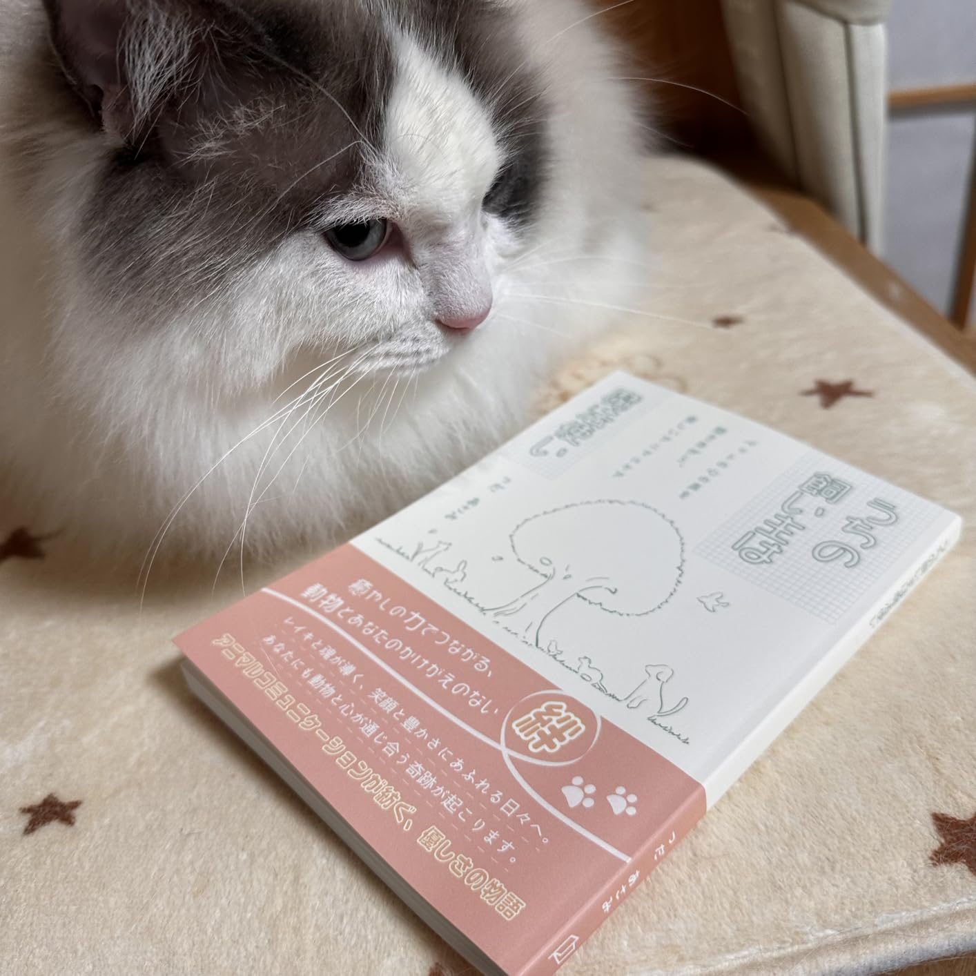 カスタマー画像 1