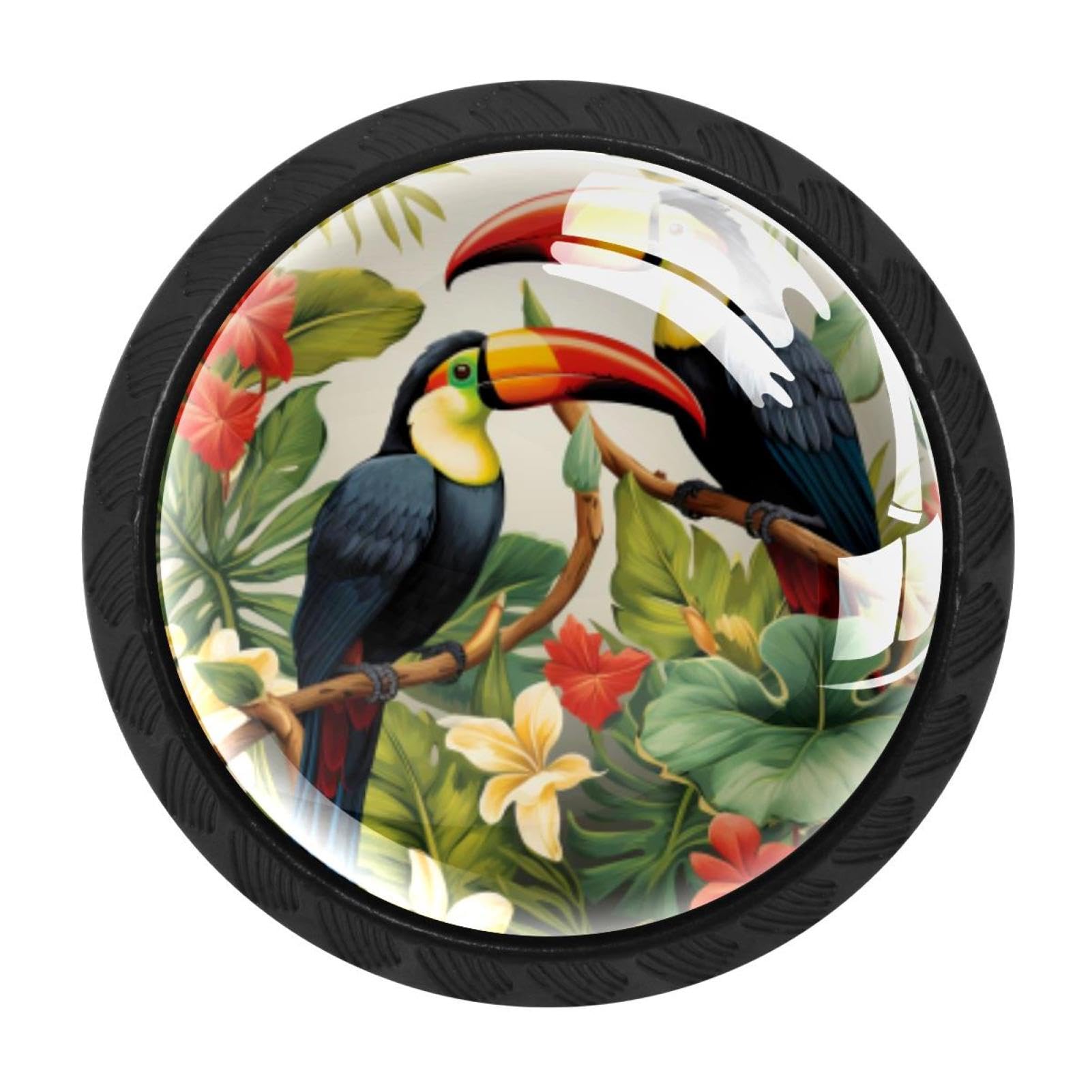 CHENZZZZ 4 Pieces Kitchen Cabinet Drawer Dresser Door Knobs Pulls Handles, Toucan