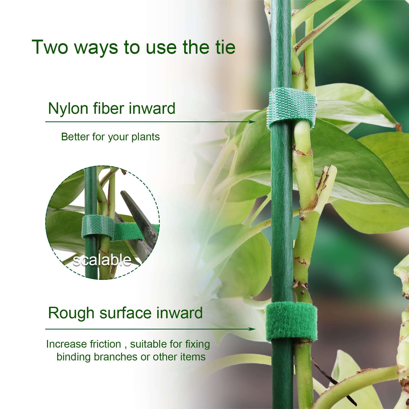 Nastro Per Legare Piante In PVC 3 Cm X 50 M - Verde, Regolabile, Traspirante, Riutilizzabile Per Rampicanti E Orto