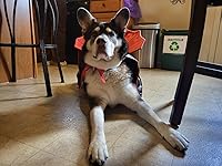 Review Image by Berlyn Berlyn