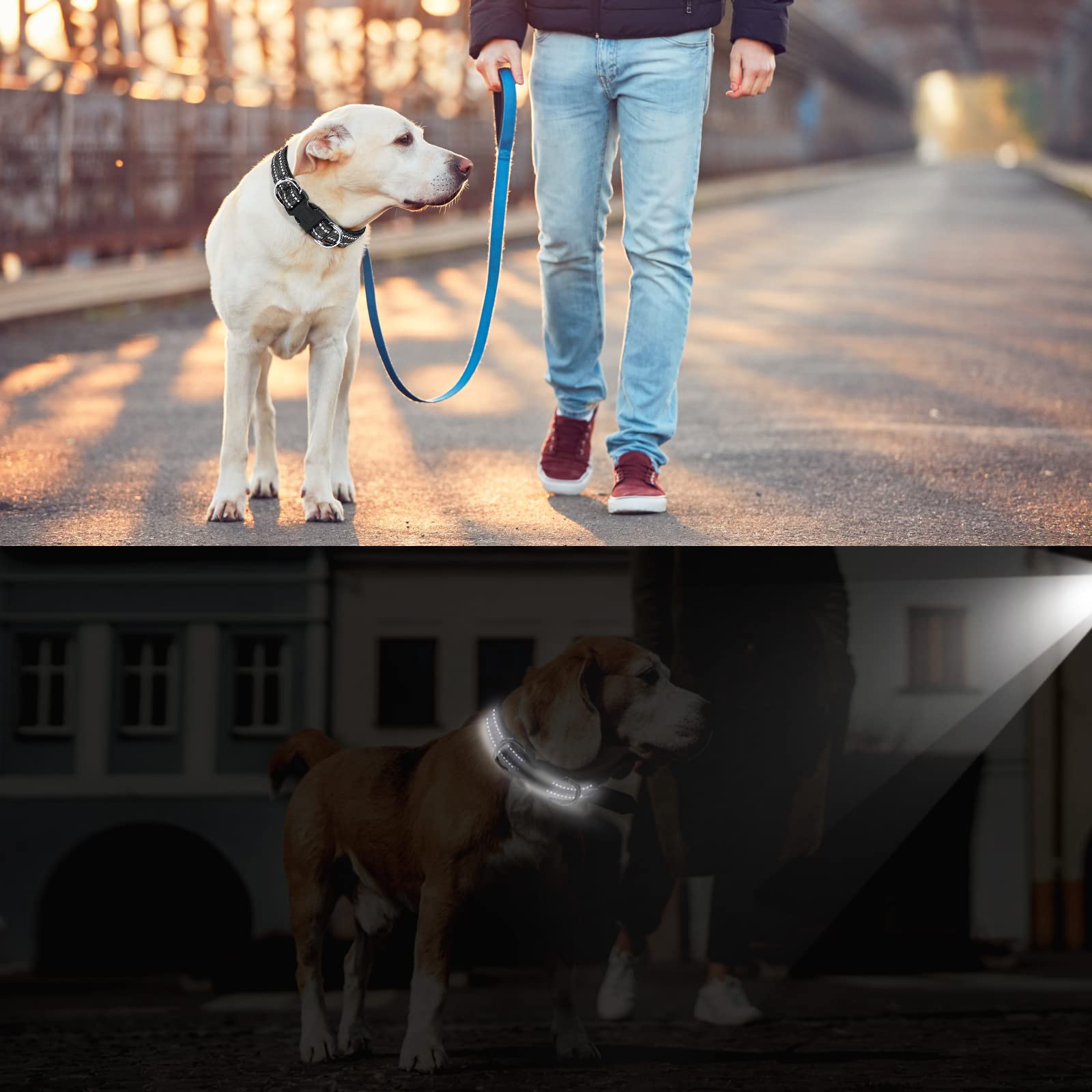 AUAUY Collare Cane, Collare per Cani in Nylon Riflettente, Regolabile Collari, Anello Doppia D, Fibbia Staccabile, Morbido e Imbottito, per Cani di Taglia Piccola, Media e Grande (Nero-L)