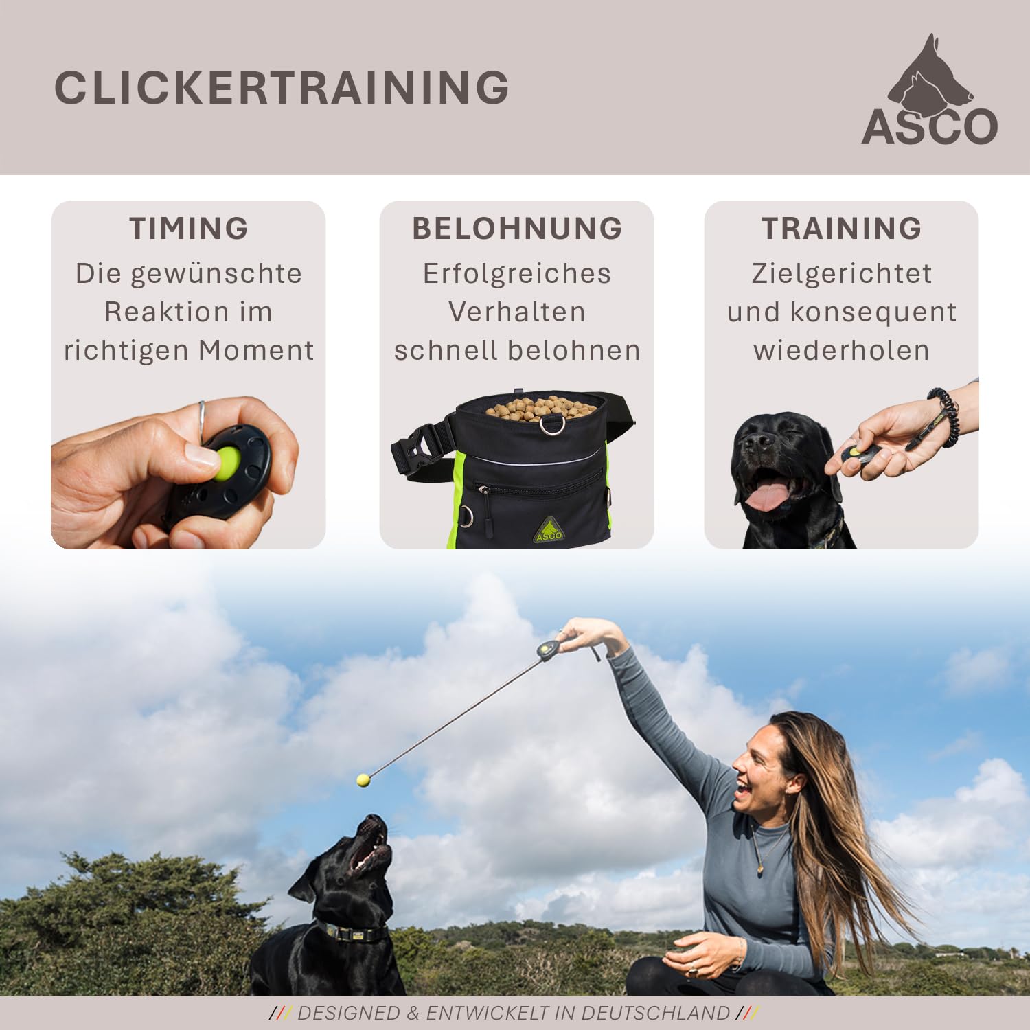 ASCO ClickStick®, Target Stick avec cliquet de qualité supérieur Amovible, Cible télescopique pour Chiens, Chats, Cheval cliquet de Dressage, Noir AC01TCS