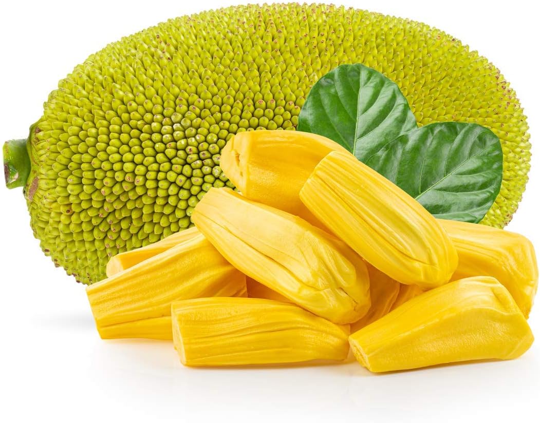Whole Malaysian Jackfruit 12kg -/+10% – Fresh, Ripe & Naturally Sweet Tropical Fruit, Perfect for Juicing, Desserts, Vegan Recipes & Exotic Dishes