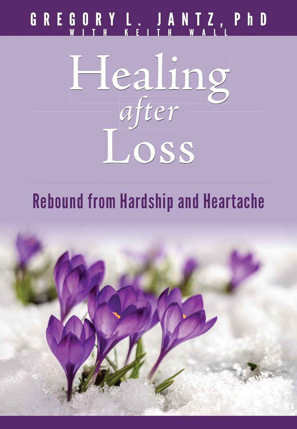 Healing after Loss: Rebound from Hardship and Heartache (Hope and Healing)