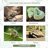 Ver la foto 5