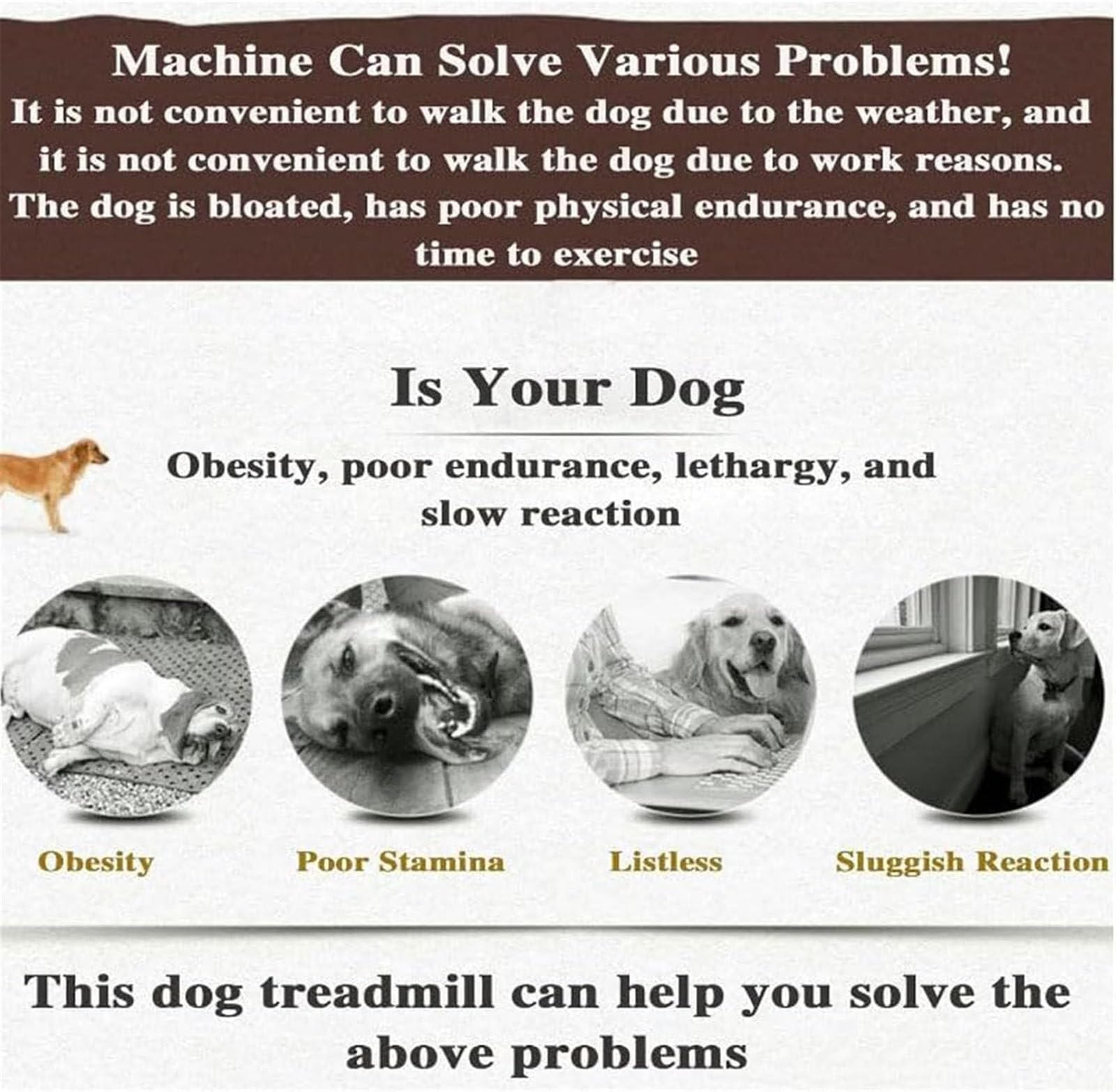 Hundelaufband FüR Kleine Hunde, Hundelaufband FüR Mittlere Hunde, 200w Motor, Geschwindigkeitsbereich 0,8–6 Km/H, Mit Neigungsverstellung Und Anzeigebildschirm, TragfäHigkeit 80 Kg