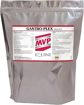 Gastro-Plex 6 lb Supports Gut Health and Hindgut Digestion in Horses