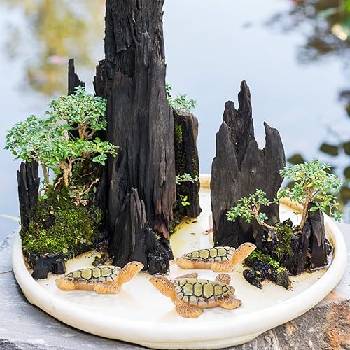 Miniatura 8 de 15 figuras miniatura de tortugas marinas de tortugas marinas, figuras de animales del océano, mini figuras de tortugas para bricolaje, hogar,