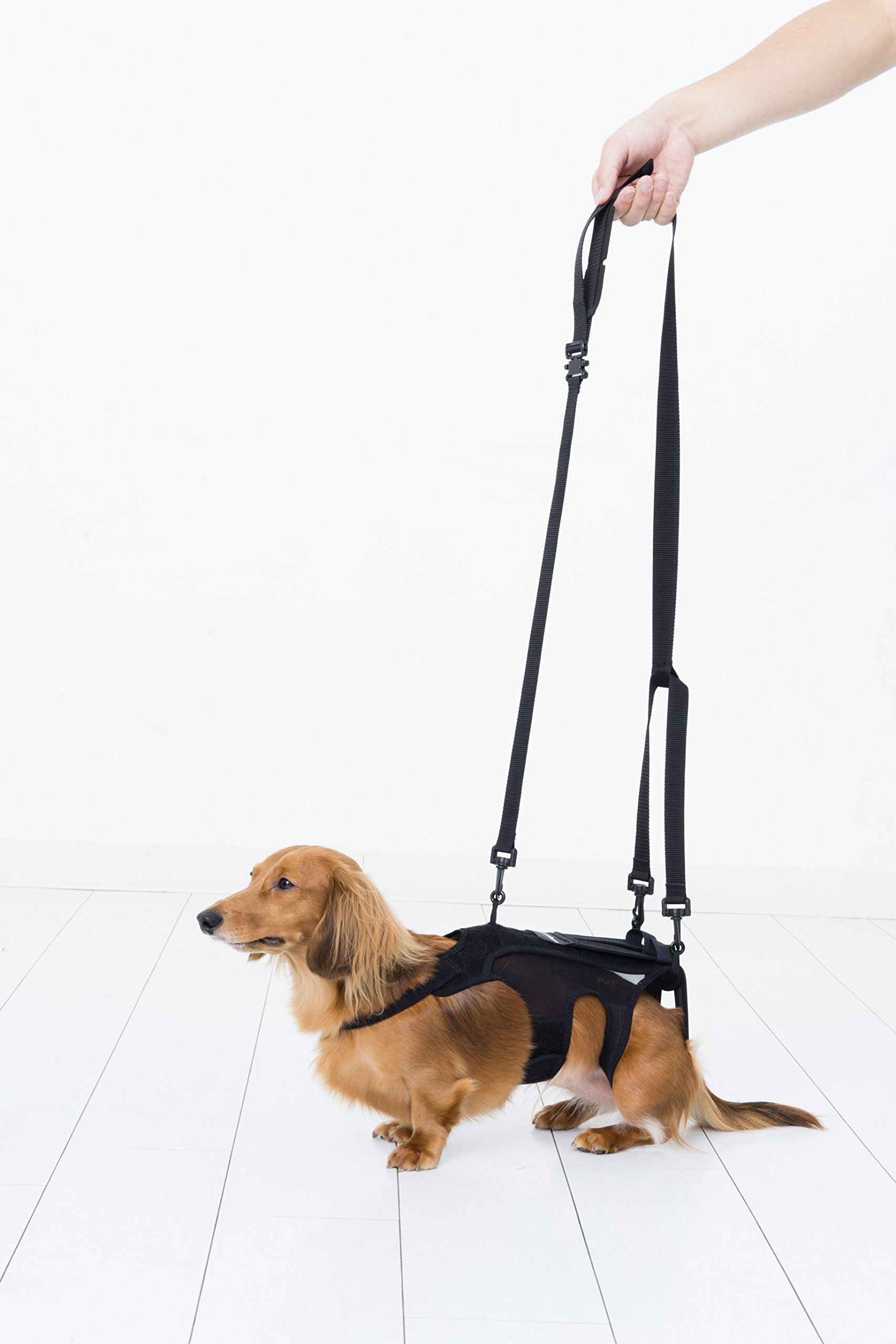 アニフル　わんコル レッド S 犬用 歩行補助ハーネス 介護 ♪未使用美品♪ Amazon | アニフル (anifull) わんコル その他 レッド 犬 M サイズ