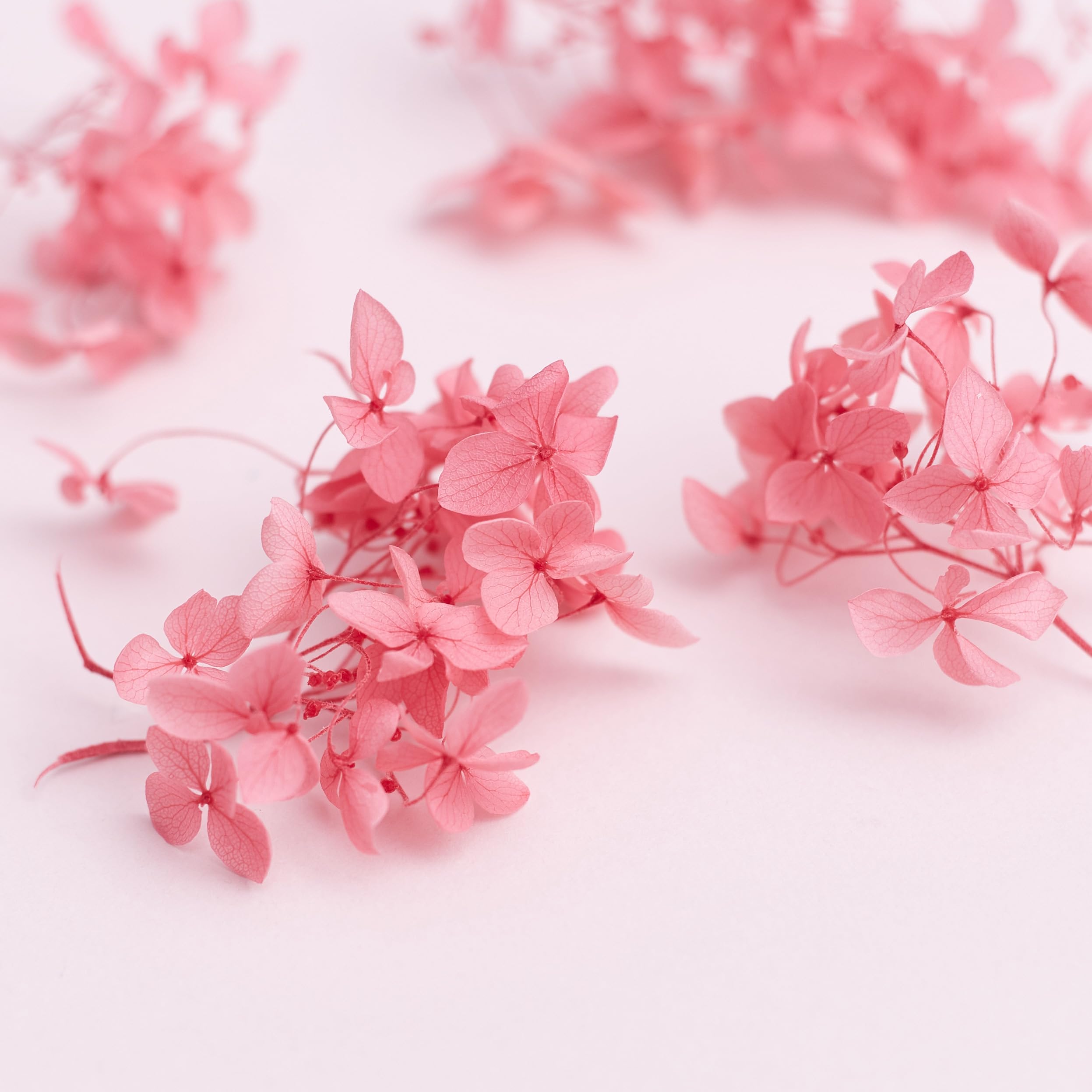 The Baked Studio - Original Dried Flower Hydrangea Set For Cake & Cupcake Decorating & Others Crafts (Pink) - Image 3