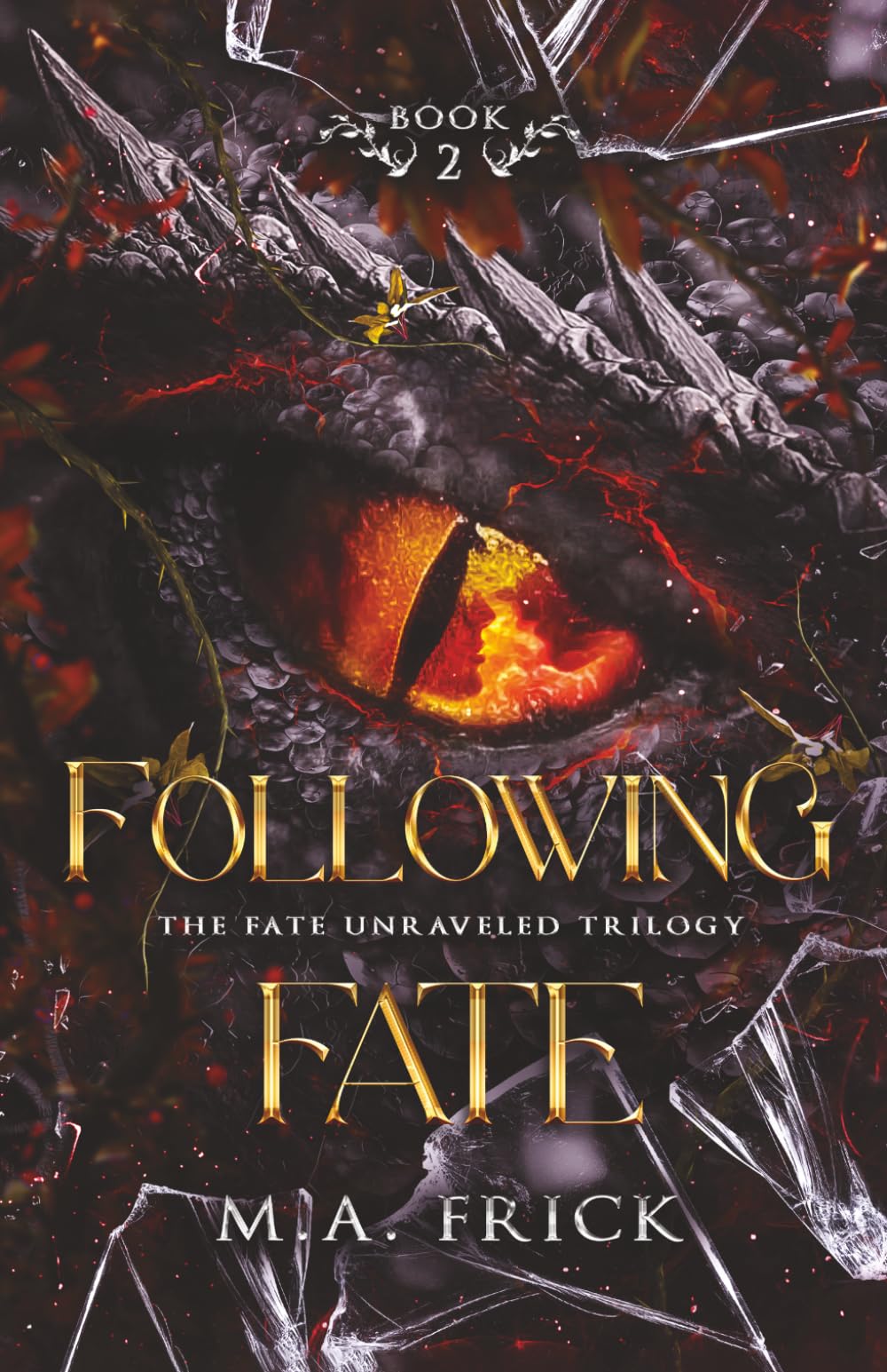 Following Fate: Book Two of the Fate Unraveled Trilogy: 2