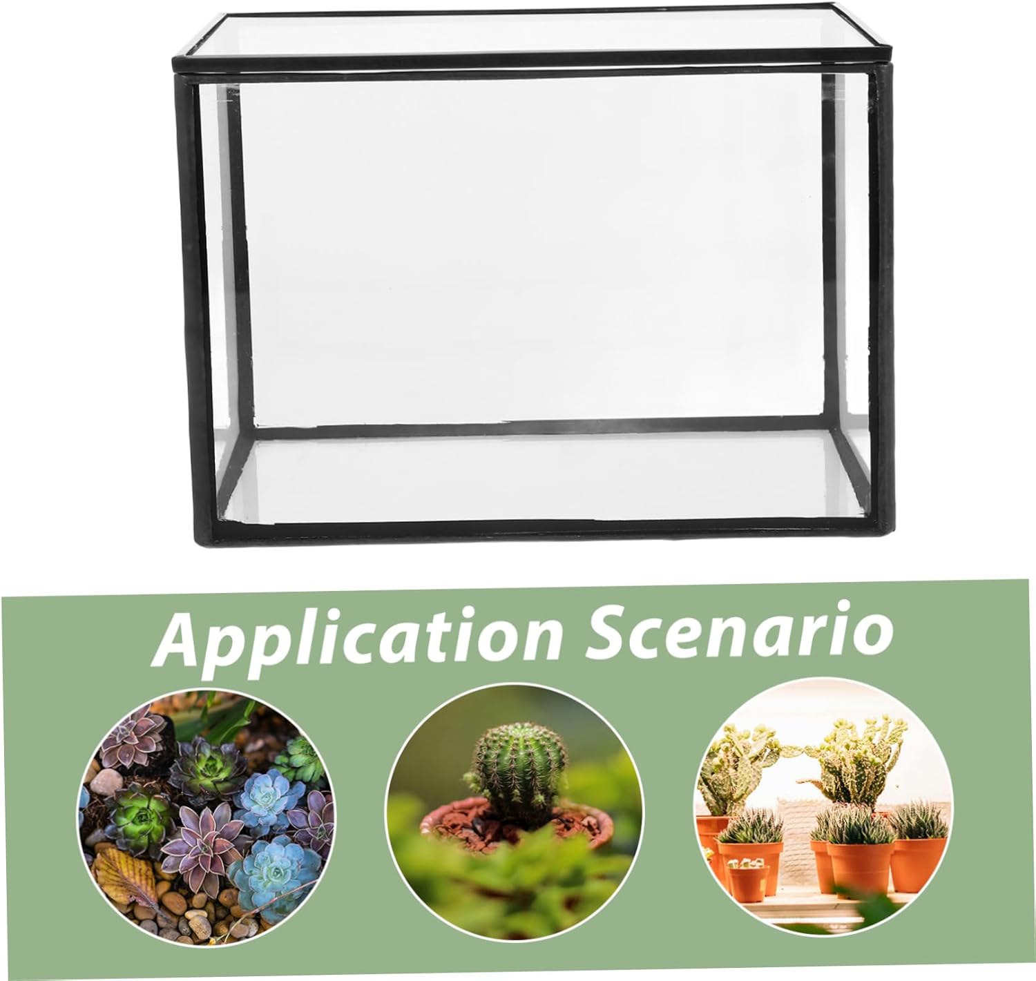 Clear Glass Terrarium for Succulents and DIY Moss Landscapes Elegant Plant Holder for Home Office and Garden Decor Simple Design for Creative Displays and Organization
