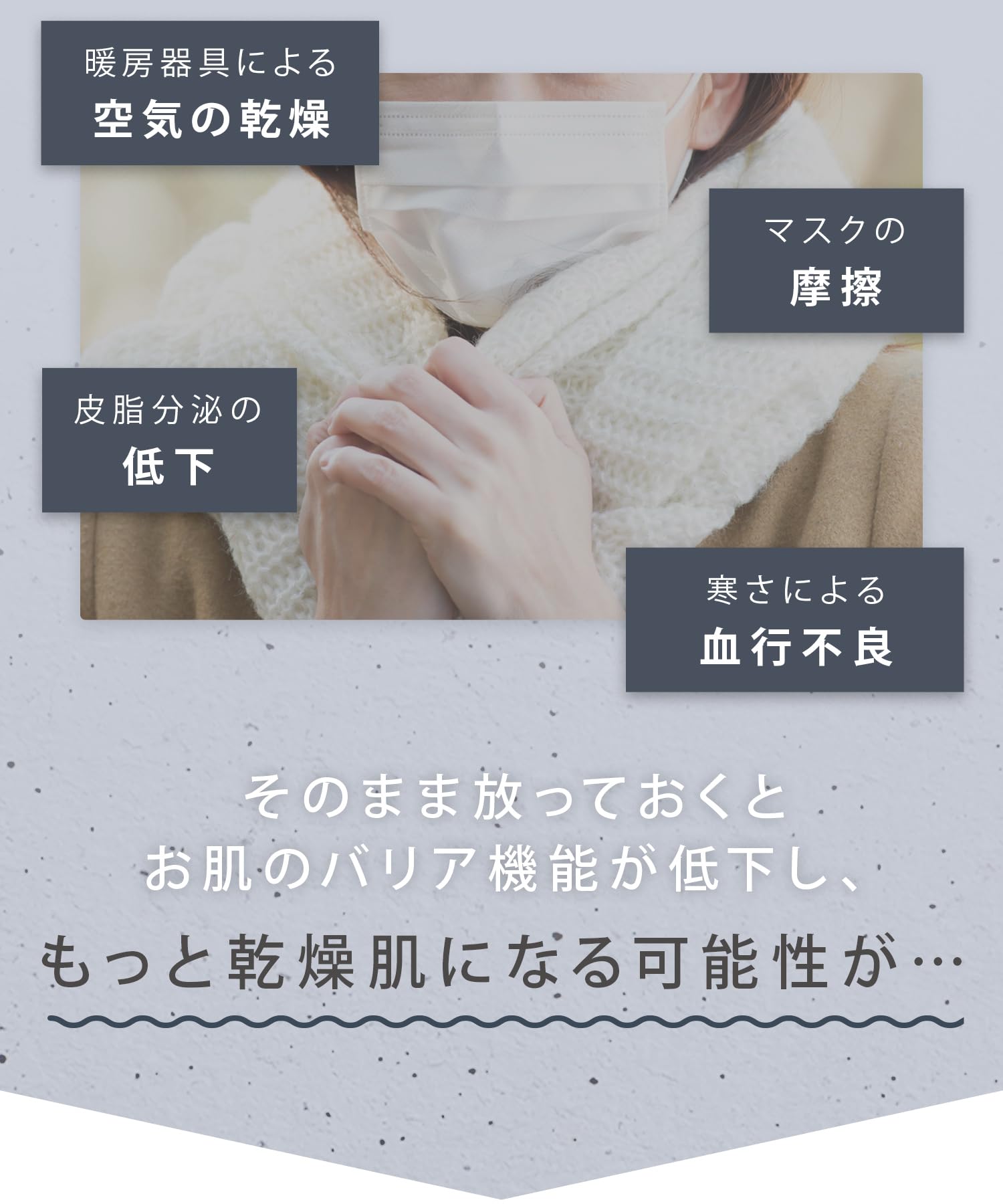 Amazon.co.jp: Salonia Pure Bright Steamer, Gray (Amazon.co.jp